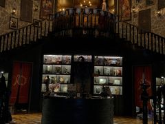 -雪灵魔法世界SHELLY’S TAROT(大良桂畔里店)