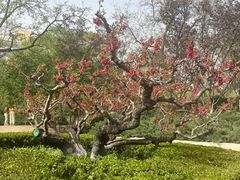 -元大都城垣遗址公园