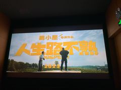 -华美国际影城(旧宫永辉店)