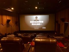 -新影联·华谊兄弟影院(望京店)
