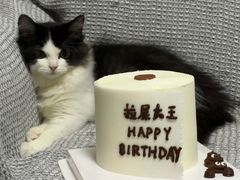 -芒果与甜纯动物奶油蛋糕&甜品台定制
