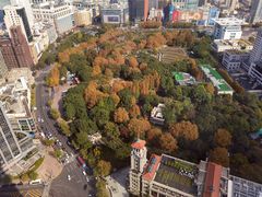 -上海明天广场JW万豪酒店