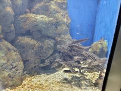 -福州罗源湾海洋世界旅游区