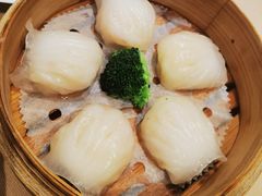 蝦餃-金苑海鲜酒家(来魅力店)