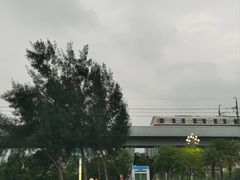 -宝安西湾红树林湿地公园