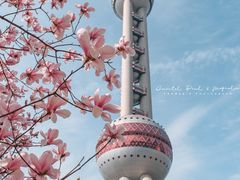 -东方明珠广播电视塔