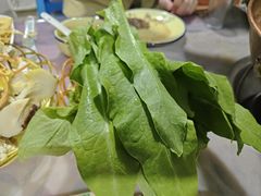 -仙蘑洞