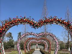 -昆山城市生态森林公园