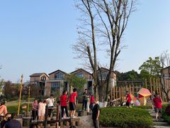 -铁山坪森林公园