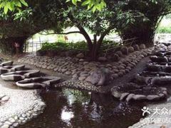 -成都市活水公园