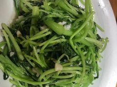-鸽子窝(宋庄店)
