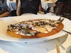 -丹江渔村(望京店)