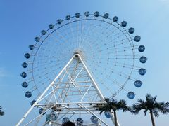 -秦皇岛乐岛海洋王国