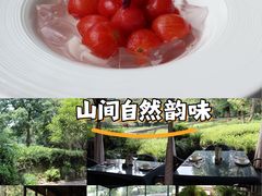 -野蔓果·山野菜(西湖景区·龙井茶田店)