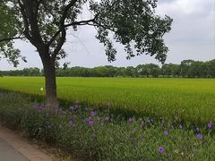 -嘉北郊野公园