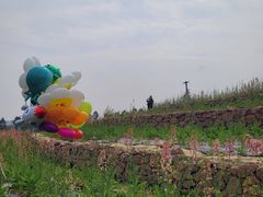 -三圣花乡旅游区