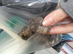 android_upload_pic-叶氏麻糍(鼓浪屿店)