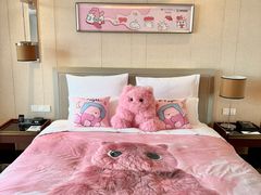 -广州白云机场雅高铂尔曼大酒店