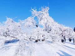 -哈尔滨伏尔加庄园