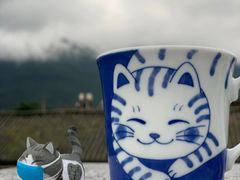 -喵屿·大理花园猫咖