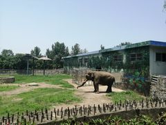 -西安秦岭野生动物园