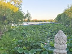 -长春市南湖公园