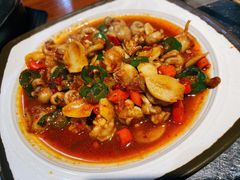 -红辣椒八爪鱼特色韩国料理