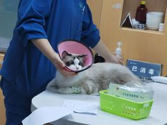 -联合动物医院(光谷诊疗中心)