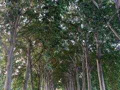 -河南省黄河迎宾馆