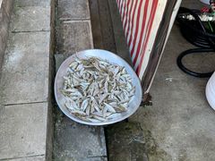 -黄利砖万峰林布依特色酸笋牛肉馆