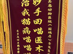 -瑞派·关忠动物医院(国瑞店)