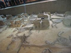 -洛阳周王城天子驾六博物馆