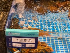 -东海怡品海鲜豆捞(舟宿夜江店)