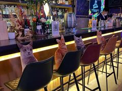 -Famous肥猫墨西哥音乐餐吧(五棵松华熙LIVE店)