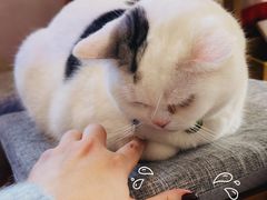 -三仟津花园咖啡馆