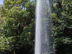 -九龙公园