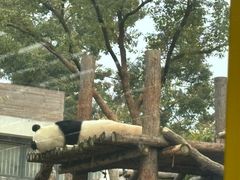 -武汉动物园