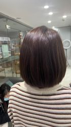 -镁连社·美联社