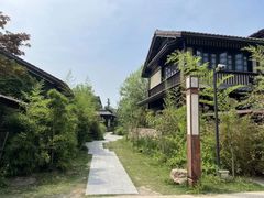 -西山漾湿地公园