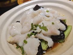 -邵年鸽(杨庄店)