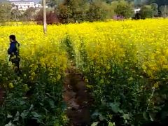 -韶山毛泽东同志故居