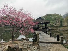 -兰亭风景区
