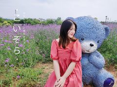 -大塘金香草谷