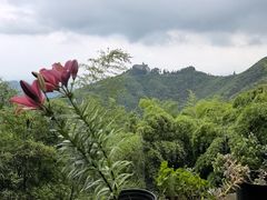 -莫干山风景区