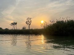 -泗洪洪泽湖湿地景区