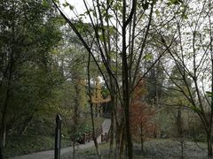 -桤木河湿地公园