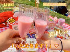 -顾村公园