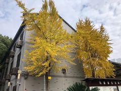 -南花桥羊肉馆老字号(乌镇店)