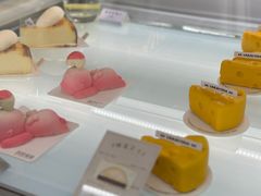 -TD66高山铁皮石斛养生茶饮