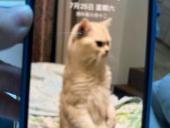 -好嫂子酱猪手•农家菜(蒲黄榆店)